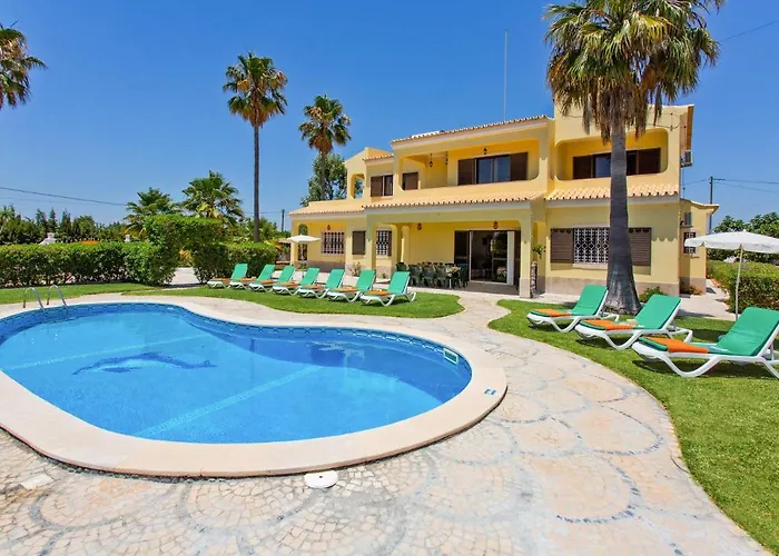 Barreto By 페라구도